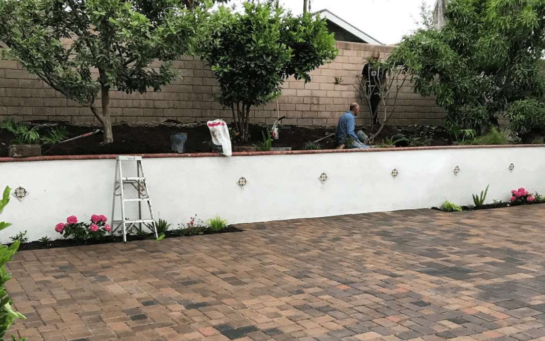 landscape services