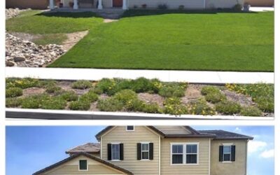 Front Yard Landscaping Ideas for Your Ontario, CA Home